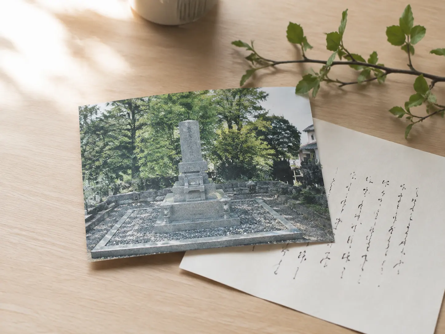 お手入れ後の写真を添えた絵葉書